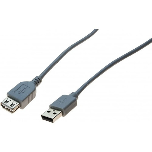 Abi Diffusion Rallonge USB 2.0 grise - 5,0 m