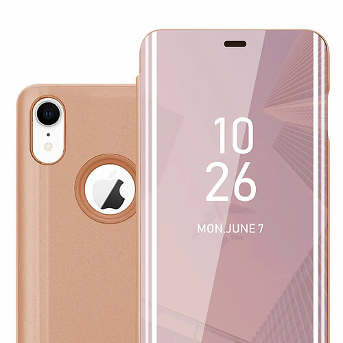 Cadorabo Coque iPhone XR Etui en Rose