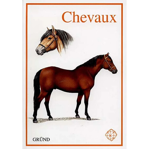 Chevaux · Occasion