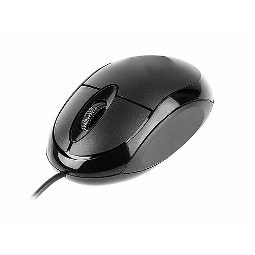 Tracer TRAMYS45906 souris USB Optique 800 DPI Droitier (Mouse wired optical TRACER Neptun USB)