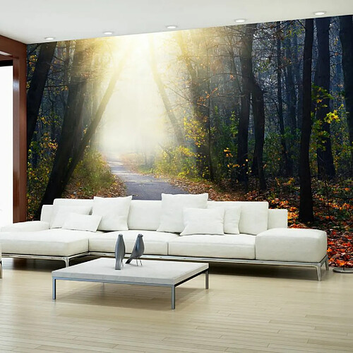 Paris Prix Papier Peint Road Through the Forest 280 x 400 cm