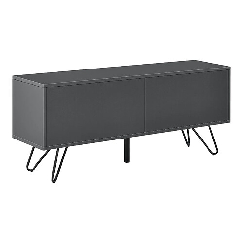 CCommode Bollebygd à 2 Portes 47 x 110 x 30 cm Gris Foncé Noir [en.casa]