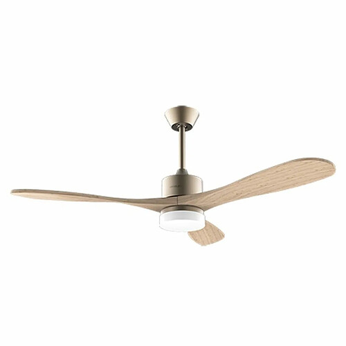 Ventilateur de Plafond Cecotec EnergySilence Aero 5290 Golden Pro