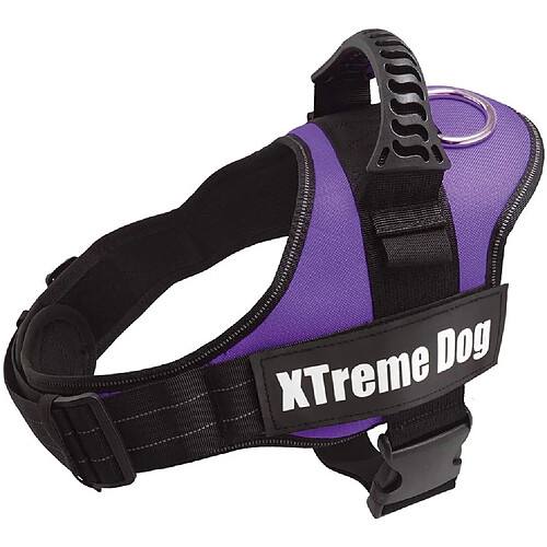 Arquivet Harnais Xtreme Dog Lila ? Taille : M/61-81 cm