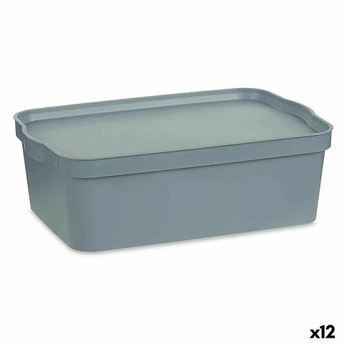 Kipit Boîte de rangement avec couvercle Gris Plastique 14 L 29,5 x 14,3 x 45 cm (12 Unités)