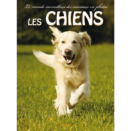 Les chiens · Occasion