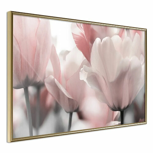 Paris Prix Affiche Murale Encadrée Pastel Tulips II 90 x 60 cm Or