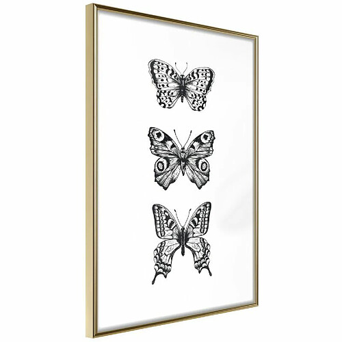 Paris Prix Affiche Murale Encadrée Butterfly Collection III 20 x 30 cm Or