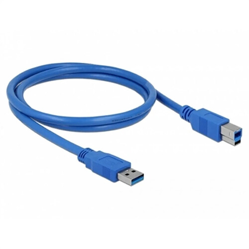 Câble USB 3.0 A vers Micro USB B DELOCK Bleu 1 m