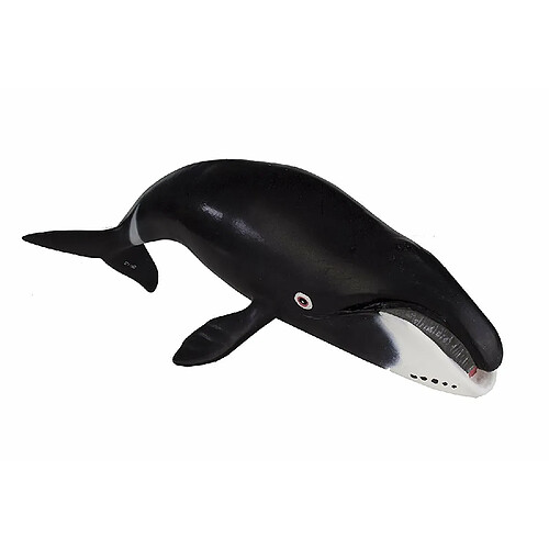 Safari Figurine baleine boréale