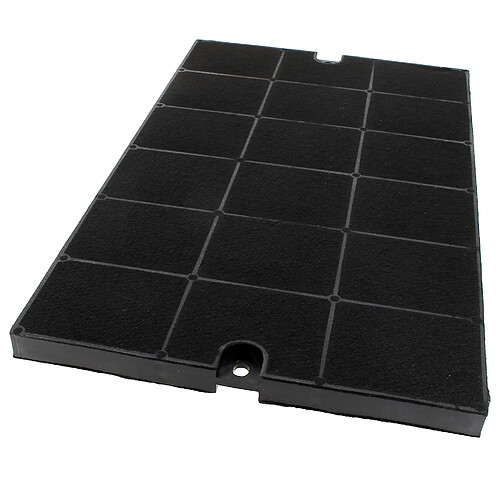 De Dietrich Filtre Charbon 445x269