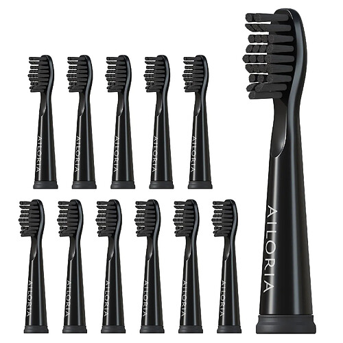 Ailoria Têtes de brosse FLASH TRAVEL - Lot de 12