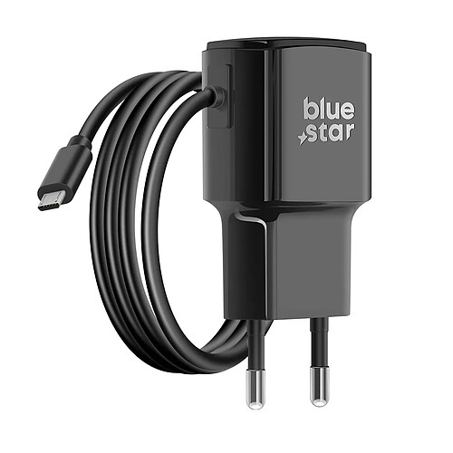 Bluestar Avizar Chargeur Secteur 2A + Micro-USB 120cm