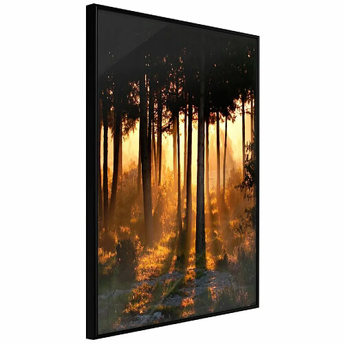Paris prix Dark Tree Tops - 21 cm