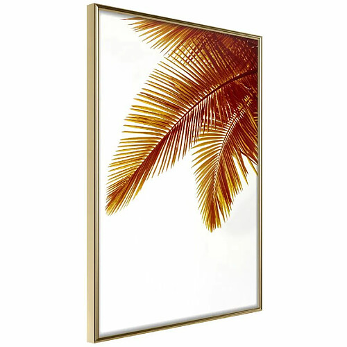 Paris prix Hot Evening - 42 cm