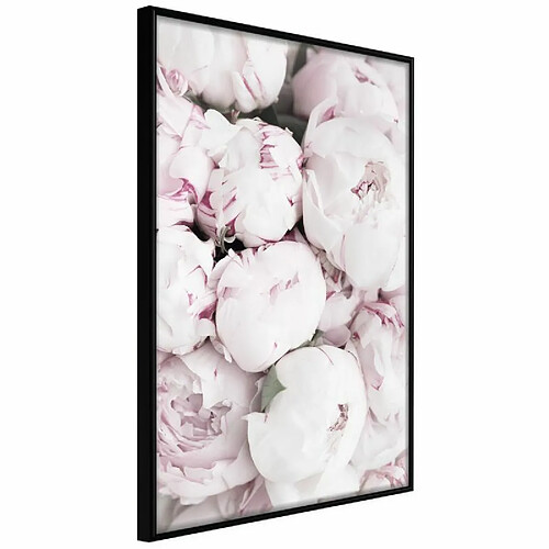 Paris prix Girly Dream - 60 cm