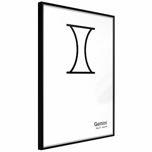 Paris prix Zodiac Gemini II - 60 cm