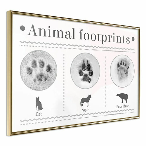 Paris prix How to Recognize an Animal - 45 cm