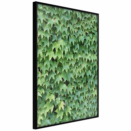 Paris prix 5904419672931 - 30 cm
