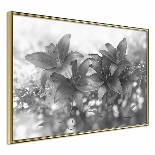 Paris prix Dark Lilies - 60 cm