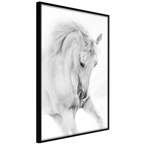 Paris prix 5901493717688 - 21 cm