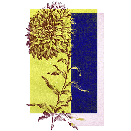 Beneffito Flower1 - 21x30 cm