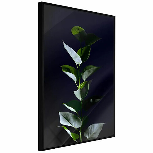 Paris prix 5904419672399 - 30 cm
