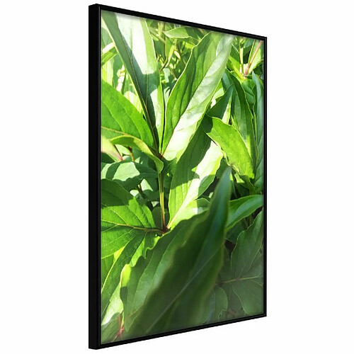 Paris prix leaf Structure - 30 cm