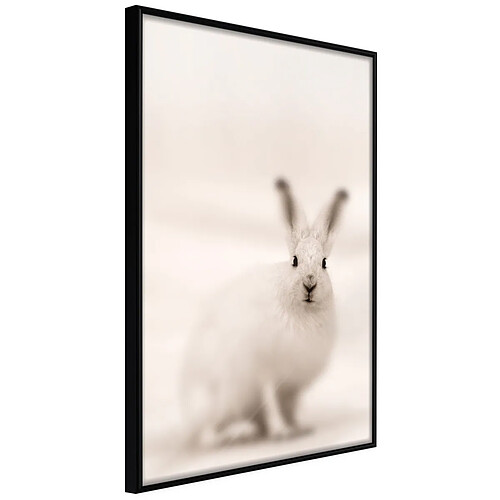 Paris prix Curious Rabbit - 40 cm