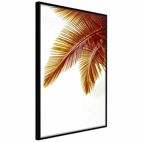 Paris prix Hot Evening - 30 cm