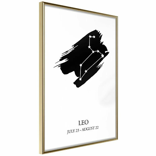 Paris prix Zodiac Leo I - 45 cm
