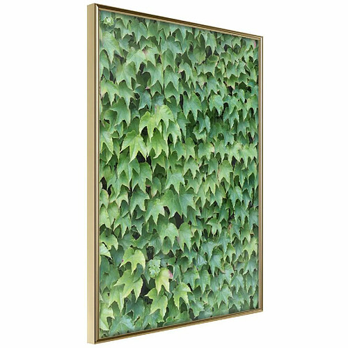 Paris prix Hidden - 30 cm