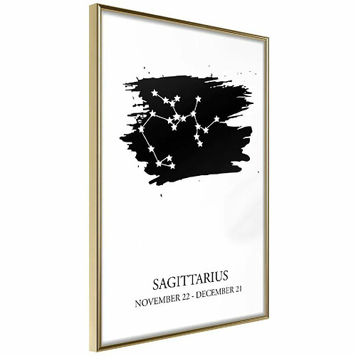 Paris prix Zodiac Sagittarius I - 30 cm