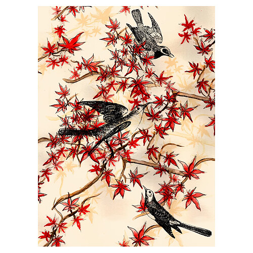 Beneffito 1193-09 - 21x30 cm
