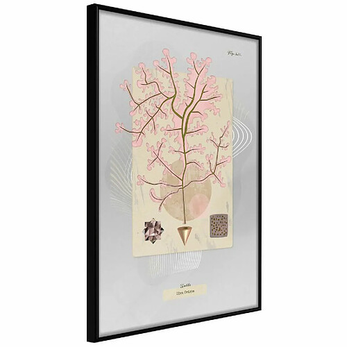 Paris prix 5903617088032 - 30 cm