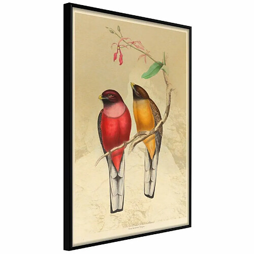 Paris prix 5903617086779 - 30 cm