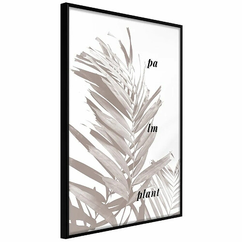 Paris prix 5904419699938 - 21 cm