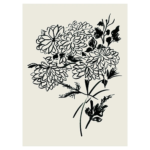Beneffito 1193-08 - 60x80 cm
