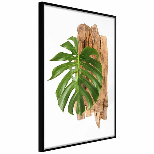Paris prix leafy Etude - 40 cm