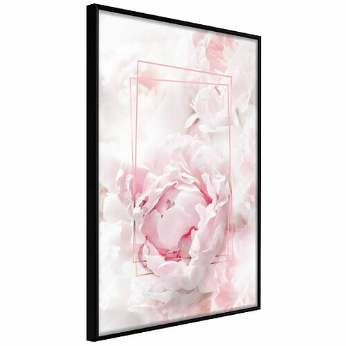 Paris prix Daily Fresh - 45 cm