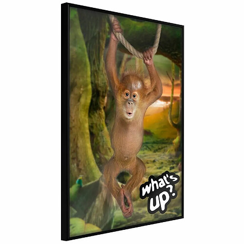 Paris prix Life in the Jungle - 40 cm