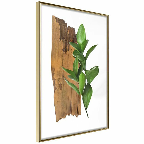 Paris prix A0-POSTERprp1112s_zr - 30 cm