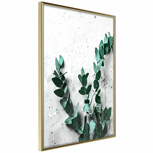 Paris prix Green Element - 30 cm