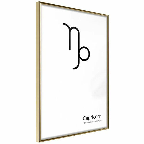Paris prix Zodiac Capricorn II - 40 cm