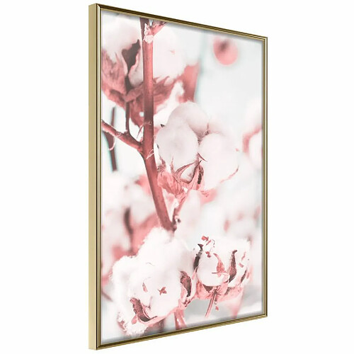 Paris prix Cotton Flowers - 30 cm