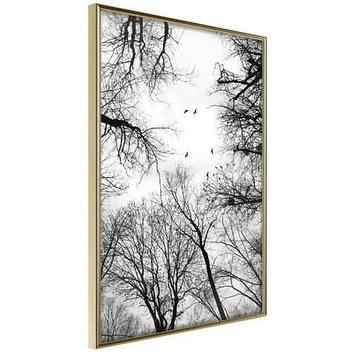 Paris prix A0-POSTERprp1153l_zr - 60 cm