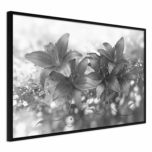 Paris prix Dark Lillies - 60 cm