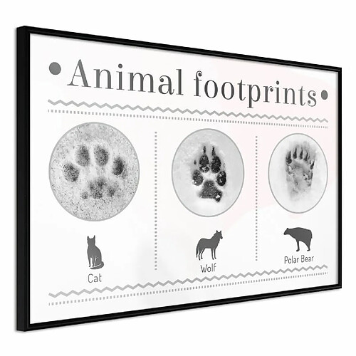 Paris prix How to Recognize an Animal - 90 cm