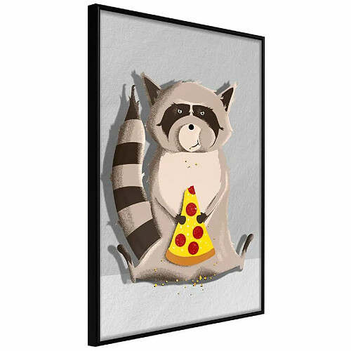 Paris prix Gourmand Raccoon - 30 cm