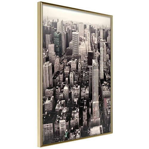 Paris prix New York from a Bird's Eye View - 30 cm